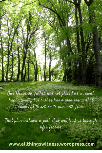 The physical, emotional and spiritual copy