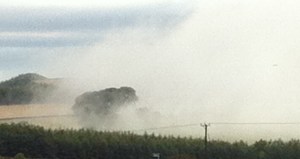 Tree through the morning mists of County Durham
