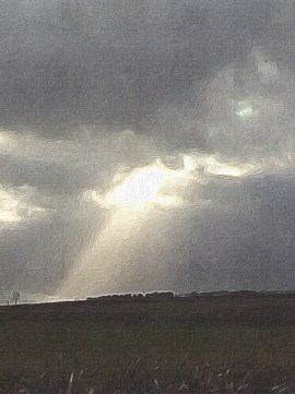 Sunlight on green fields