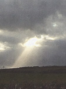 Sunlight on green fields